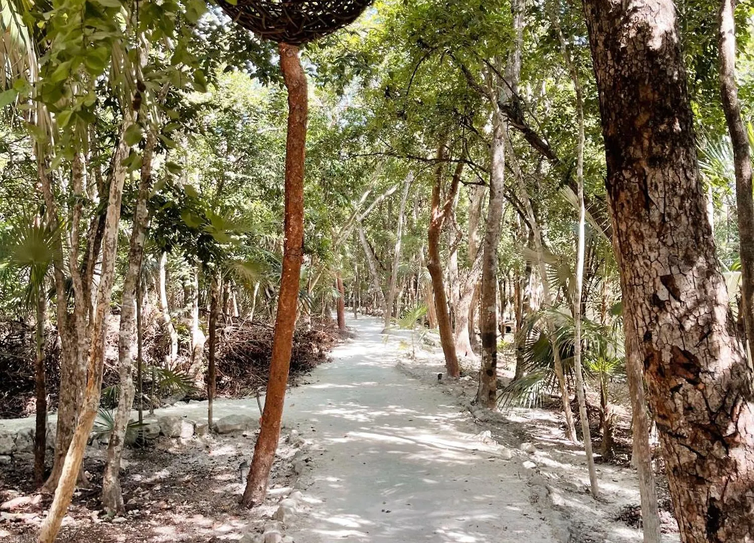 Διαμέρισμα Kataleya Tulum By Zaazil - New Luxury Penthouse Up To 10 People, 3-Level, 3240 Sqft , Private Pool, Terrace And Roof Top In Luum Zama In The Jungle